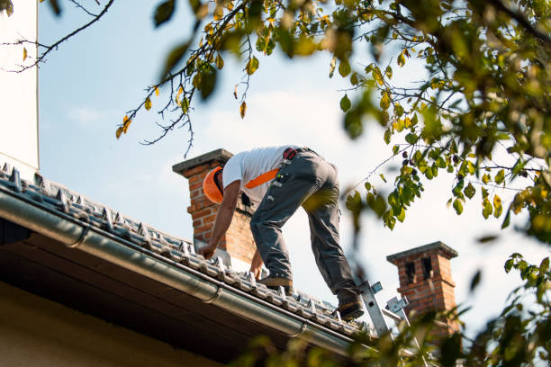 Best Sealant for Roof  in Cherokee, NC